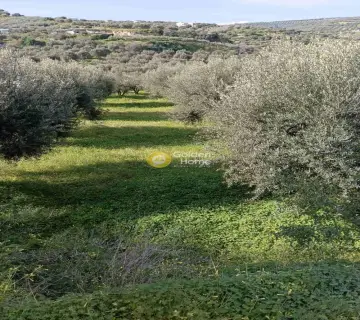 Residential 5300m<sup>2</sup> for sale photo 3