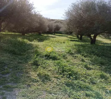 Residential 5300m<sup>2</sup> for sale photo 5