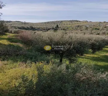 Residential 5300m<sup>2</sup> for sale photo 6