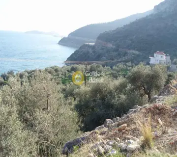 Residential 3151m<sup>2</sup> for sale photo 3538413