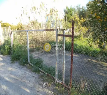 Golden Home Property Image