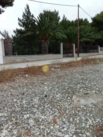 Οικιστικό 2300τ.μ. προς πώληση φωτογραφία 14