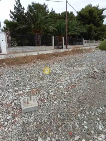 住宅 2300m<sup>2</sup> for sale photo 4