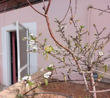 Floor Apartment 60m<sup>2</sup> for rent photo 16
