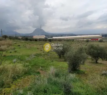 Επαγγελ. Οικόπεδο 21540τ.μ. προς ενοικίαση φωτογραφία 3550445