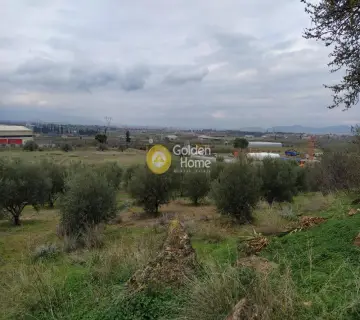 Επαγγελ. Οικόπεδο 21540τ.μ. προς ενοικίαση φωτογραφία 3550446