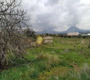 Επαγγελ. Οικόπεδο 21540τ.μ. προς ενοικίαση φωτογραφία 3550448