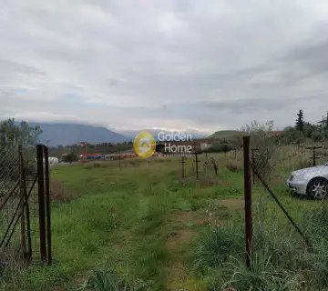 Επαγγελ. Οικόπεδο 21540τ.μ. προς ενοικίαση φωτογραφία 3550455