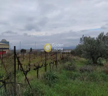 Επαγγελ. Οικόπεδο 21540τ.μ. προς ενοικίαση φωτογραφία 3550461