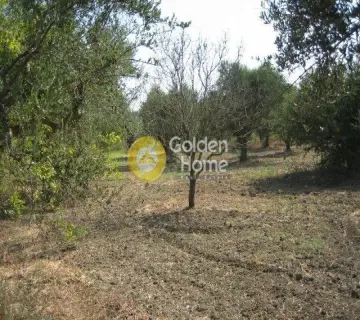 Residential 4095m<sup>2</sup> for sale photo 12