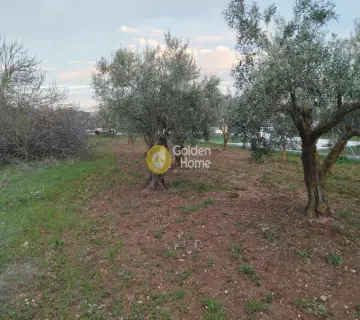 Parcel 1124m<sup>2</sup> for sale photo 3822429