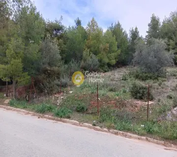 Οικιστικό 510τ.μ. προς πώληση φωτογραφία 3558119