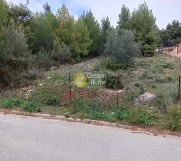Οικιστικό 510τ.μ. προς πώληση φωτογραφία 3558118
