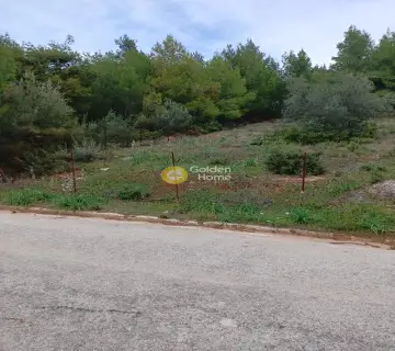 Οικιστικό 510τ.μ. προς πώληση φωτογραφία 3558121