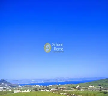 土地 4463m<sup>2</sup> for sale photo 1