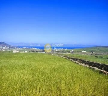 土地 4463m<sup>2</sup> for sale photo 3