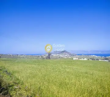 土地 4463m<sup>2</sup> for sale photo 2