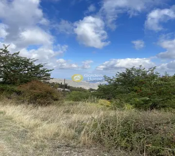 Residential 555m<sup>2</sup> for sale photo 3566399