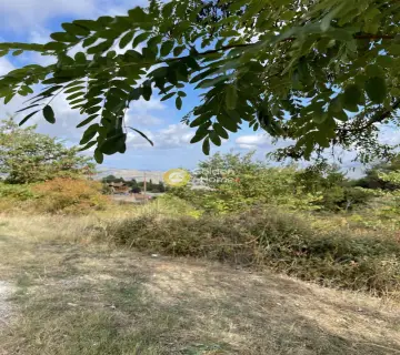Residential 555m<sup>2</sup> for sale photo 3566400
