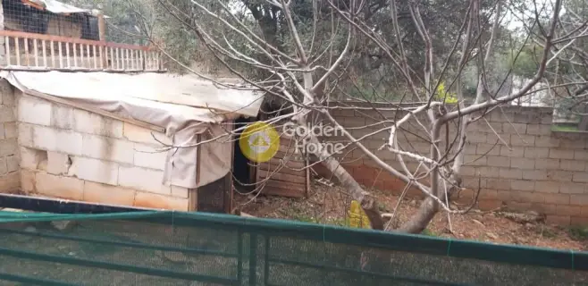 Οικιστικό 848τ.μ. προς πώληση φωτογραφία 6