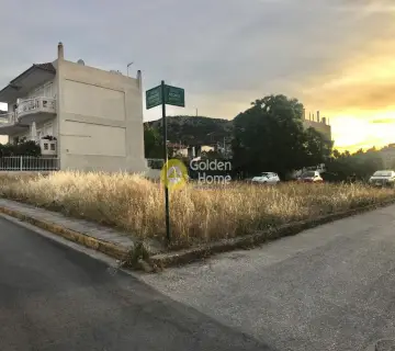 Professional Plot 221m<sup>2</sup> for rent photo 3577241