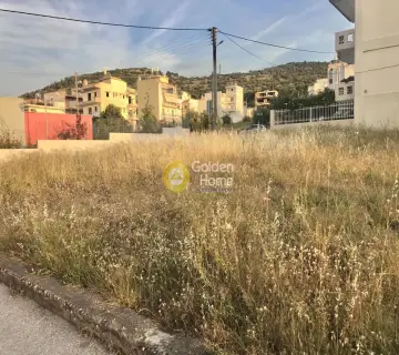 Professional Plot 221m<sup>2</sup> for rent photo 3577247