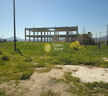 Αυτόνομο Κτίριο 924τ.μ. προς ενοικίαση φωτογραφία 3578089