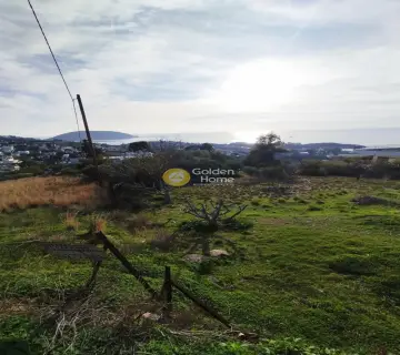 住宅 596m<sup>2</sup> for sale photo 4636189
