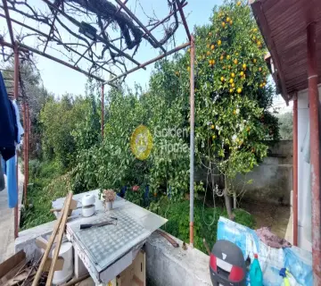 Οικιστικό 778τ.μ. προς πώληση φωτογραφία 3580884