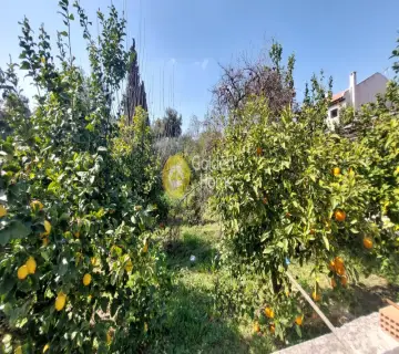 Οικιστικό 778τ.μ. προς πώληση φωτογραφία 3580887