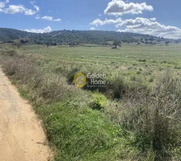 Parcel 5000m<sup>2</sup> for rent photo 3856891