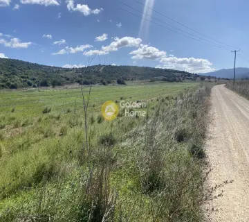 Parcel 5000m<sup>2</sup> for rent photo 3856911