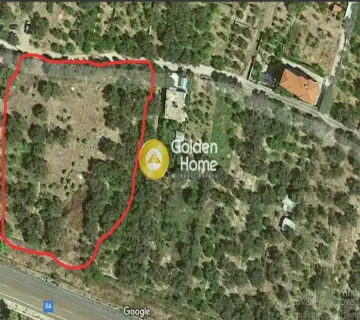 Residential 570m<sup>2</sup> for sale photo 3579675