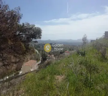 Residential 1375m<sup>2</sup> for sale photo 15
