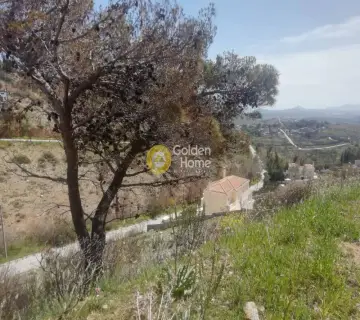Residential 1375m<sup>2</sup> for sale photo 3596309
