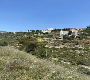 Residential 1375m<sup>2</sup> for sale photo 5