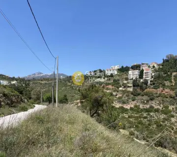 Residential 1375m<sup>2</sup> for sale photo 11