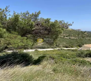 Residential 1375m<sup>2</sup> for sale photo 3596316