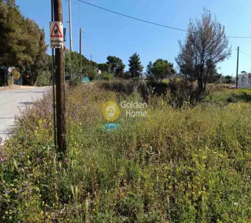 Οικιστικό 300τ.μ. προς πώληση φωτογραφία 9