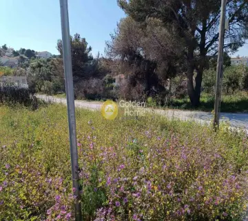 Οικιστικό 300τ.μ. προς πώληση φωτογραφία 5