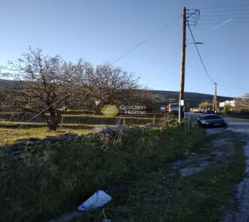 Professional Plot 3584m<sup>2</sup> for sale photo 11