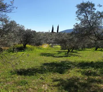 Residential 10000m<sup>2</sup> for sale photo 4