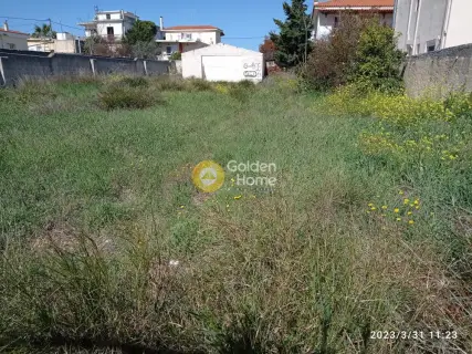 Οικιστικό 455τ.μ. προς πώληση φωτογραφία 4