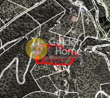 住宅 4242m<sup>2</sup> for sale photo 3586186