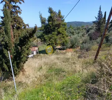 Residential 2120m<sup>2</sup> for sale photo 4