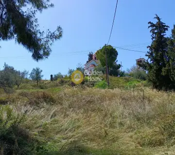 Residential 2120m<sup>2</sup> for sale photo 5