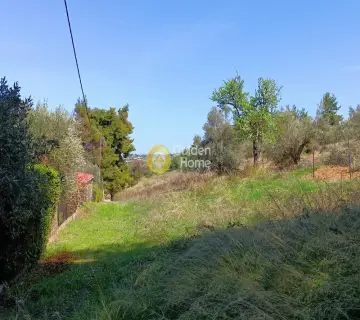 Residential 2120m<sup>2</sup> for sale photo 6