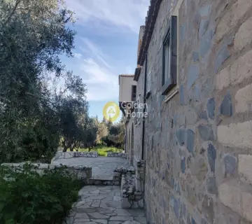 Μονοκατοικία 503τ.μ. προς πώληση φωτογραφία 5