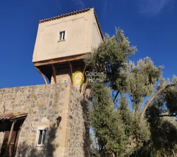 Μονοκατοικία 503τ.μ. προς πώληση φωτογραφία 12
