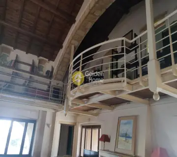 Μονοκατοικία 503τ.μ. προς πώληση φωτογραφία 4